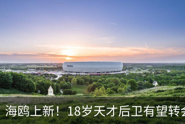 海鸥上新！18岁天才后卫有望转会英格兰，天赋顶级布莱顿要买